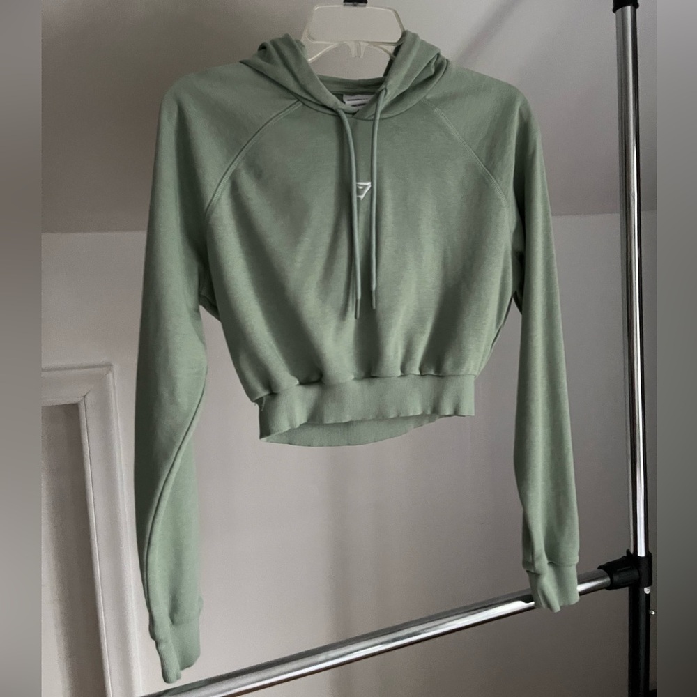 Cropped Gymsgark Hoodie